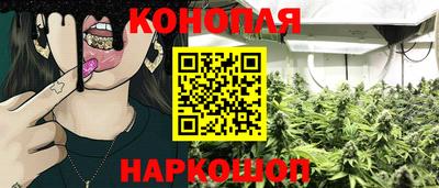 Альфа ПВП Тверь