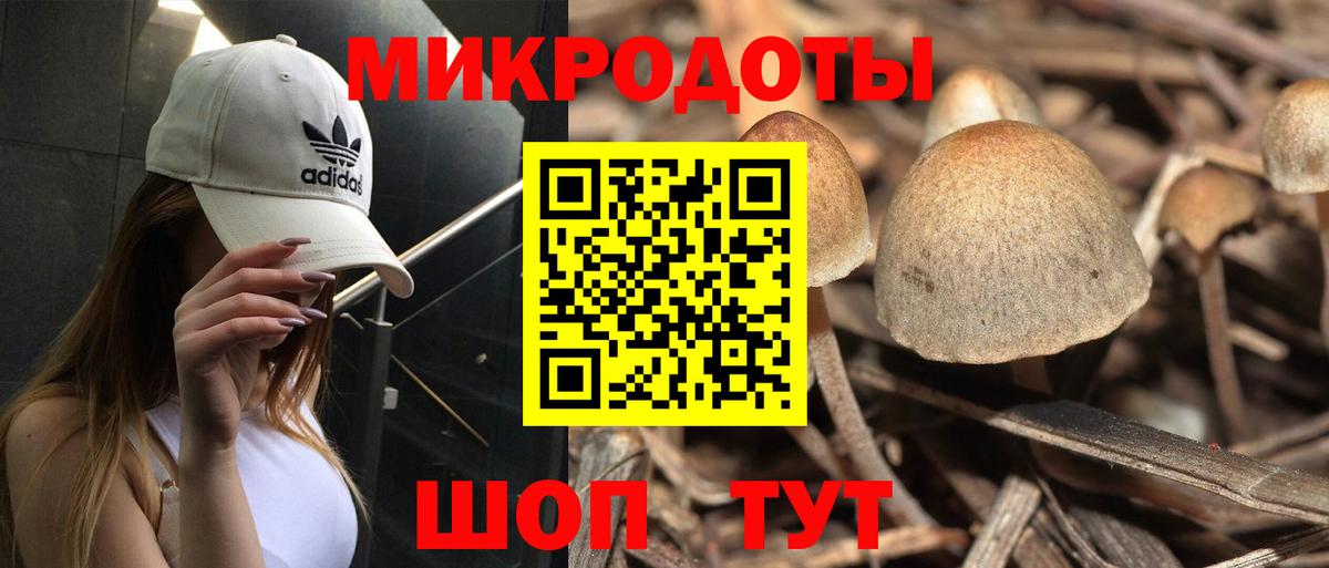 Астрахань  Галлюциногенные грибы мухоморы  Вход с VPN 