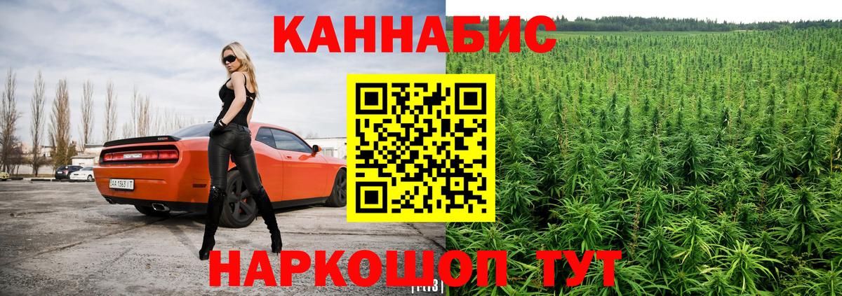 Шишки марихуана конопля Астрахань